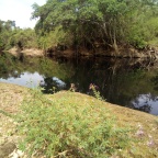 O descaso com o rio Meia Ponte, um rio de águas pretas